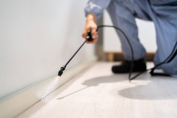 Licensed Ant Control service in Tazewell County County, VA - Nex Pest Control
